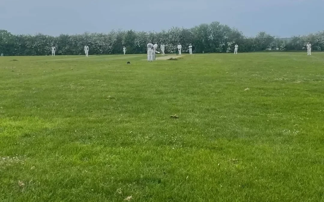 1/5/24 v Canewdon (Evening League)